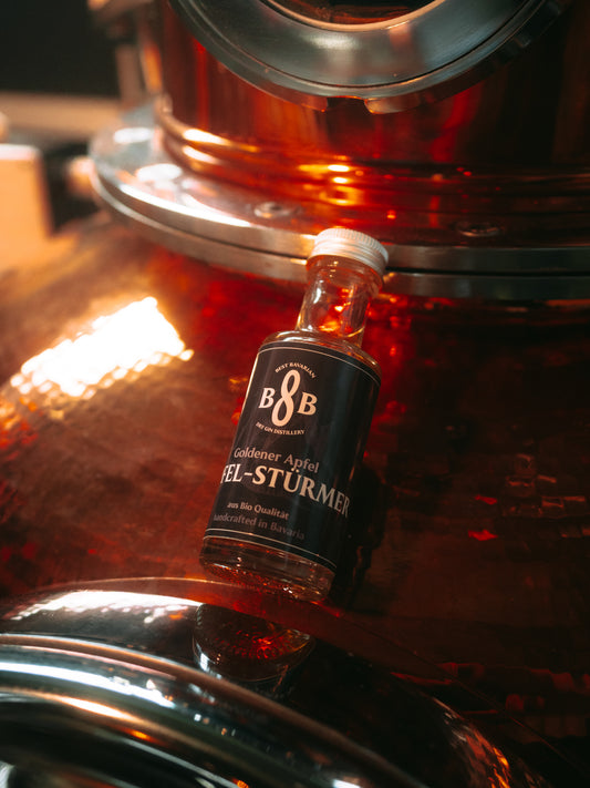 BigShot - Gipfel Stürmer